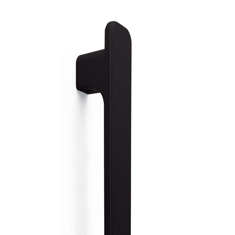 MOMO ASPEN ENTRY PULL HANDLE